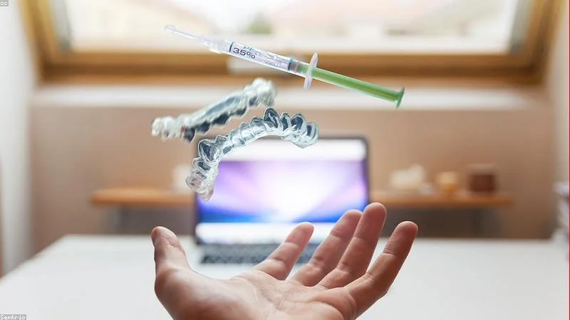 Kitten vaccination card and syringe